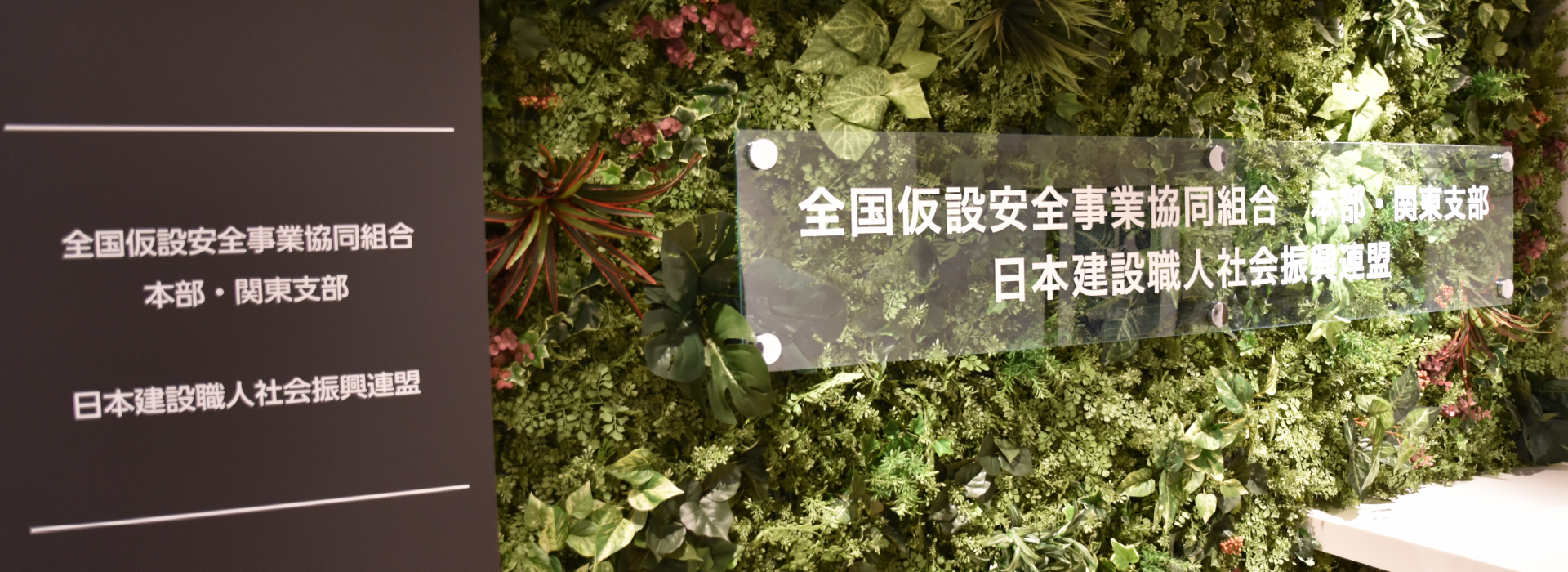 Image-5
